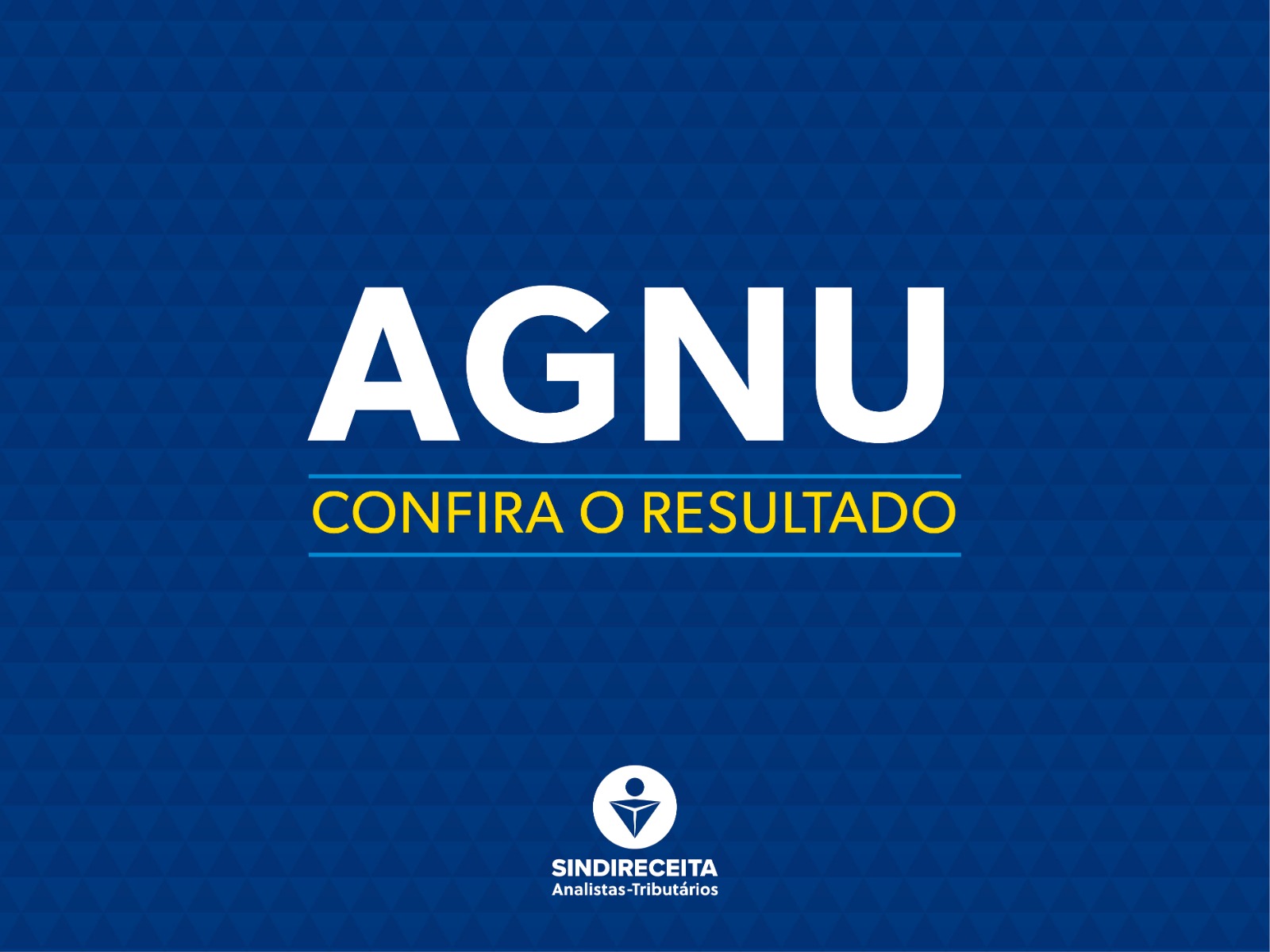 Resultado da primeira AGNU com votação eletrônica